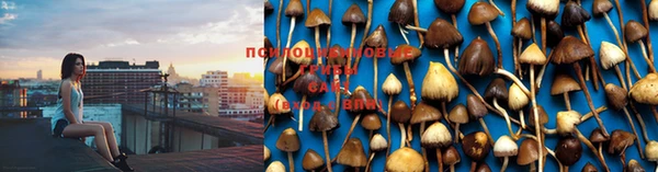 спайс Ростов