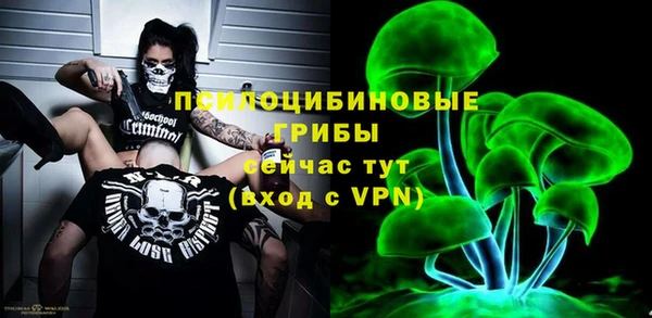 MDMA Бородино